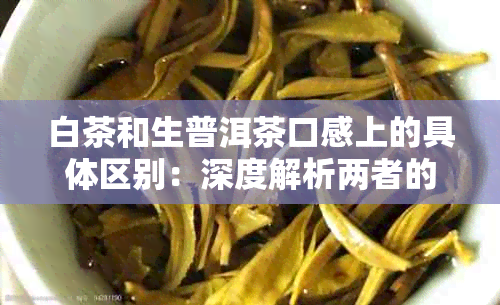 白茶和生普洱茶口感上的具体区别：深度解析两者的独特风味与品饮体验