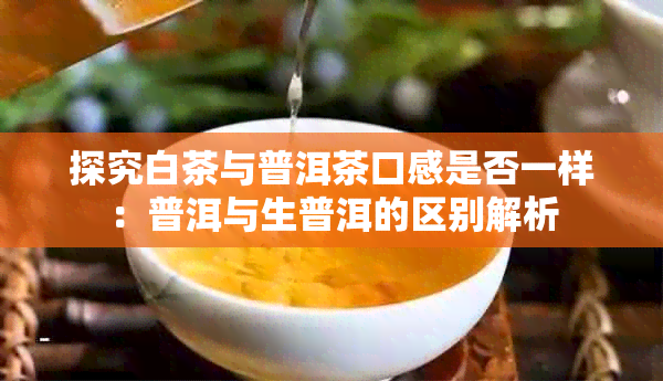 探究白茶与普洱茶口感是否一样：普洱与生普洱的区别解析
