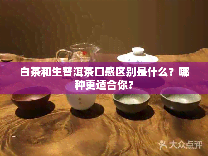 白茶和生普洱茶口感区别是什么？哪种更适合你？