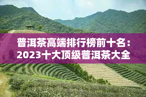 普洱茶高端排行榜前十名：2023十大顶级普洱茶大全