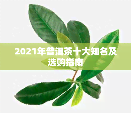 2021年普洱茶十大知名及选购指南