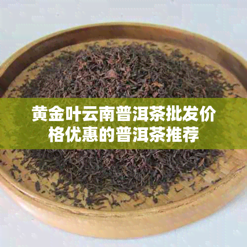 黄金叶云南普洱茶批发价格优惠的普洱茶推荐