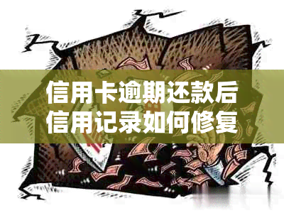 信用卡逾期还款后信用记录如何修复