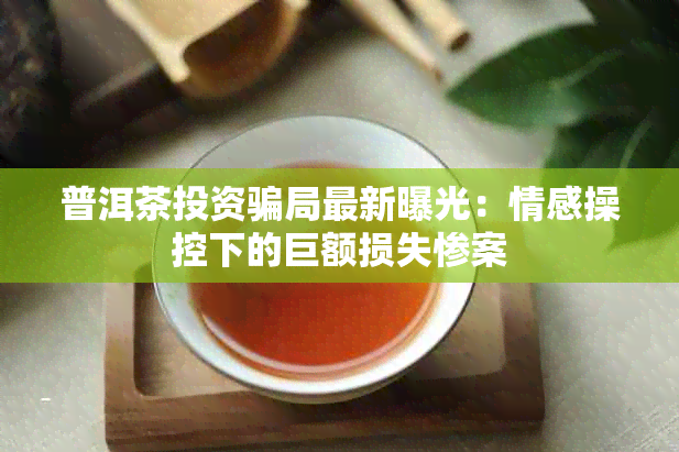 普洱茶投资骗局最新曝光：情感操控下的巨额损失惨案
