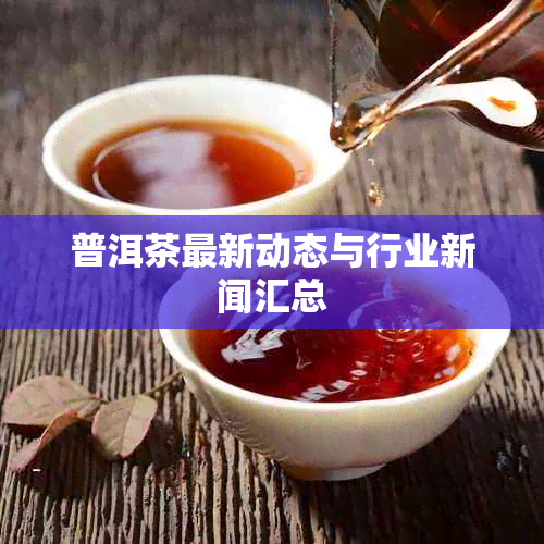 普洱茶最新动态与行业新闻汇总