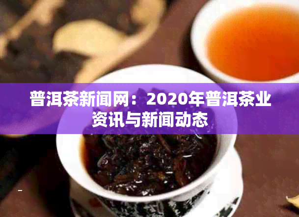 普洱茶新闻网：2020年普洱茶业资讯与新闻动态