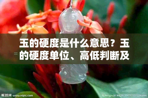 玉的硬度是什么意思?玉的硬度单位、高低判断及常见玉石硬度对照表