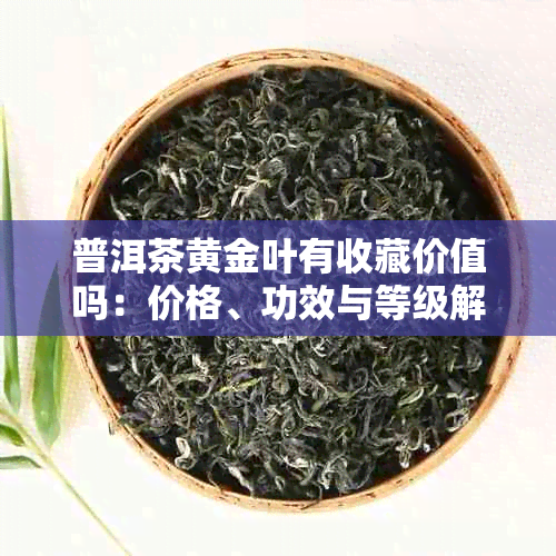 普洱茶黄金叶有收藏价值吗：价格、功效与等级解析