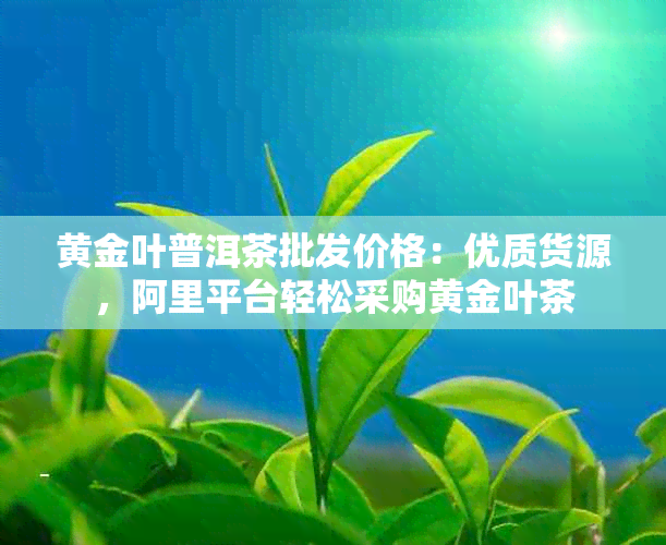 黄金叶普洱茶批发价格：优质货源，阿里平台轻松采购黄金叶茶