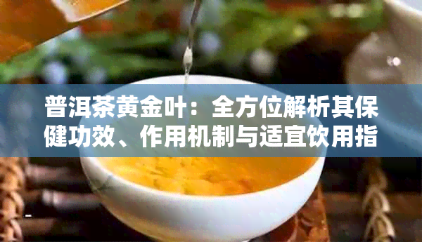 普洱茶黄金叶：全方位解析其保健功效、作用机制与适宜饮用指南