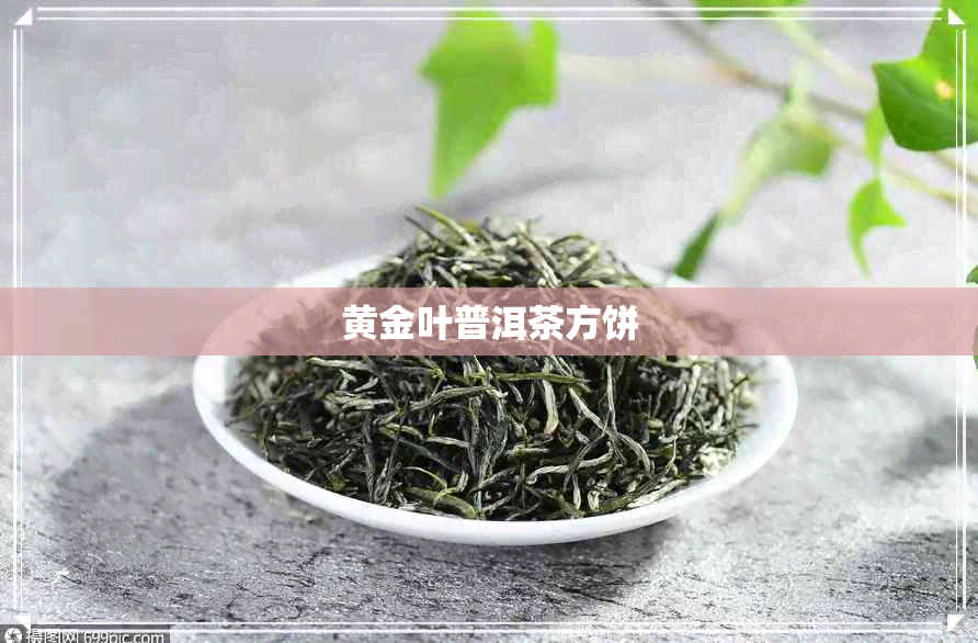 黄金叶普洱茶方饼