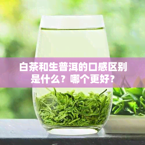 白茶和生普洱的口感区别是什么?哪个更好?