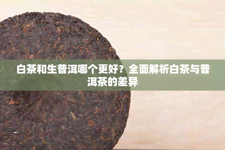 白茶和生普洱哪个更好?全面解析白茶与普洱茶的差异