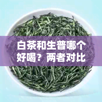 白茶和生普哪个好喝?两者对比评测与选购指南