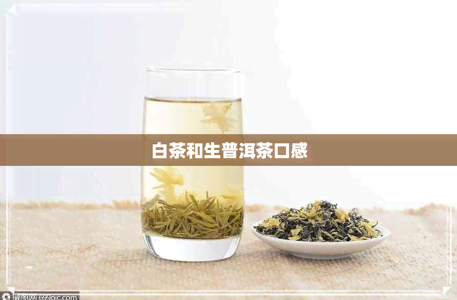 白茶和生普洱茶口感 白茶和生普洱茶口感