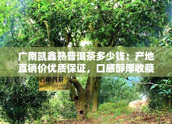 广南凯鑫熟普洱茶多少钱：产地直销价优质保证，口感醇厚收藏佳品