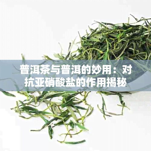 普洱茶与普洱的妙用：对抗亚硝酸盐的作用揭秘