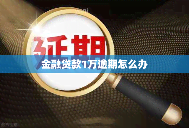 金融贷款1万逾期怎么办