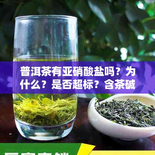普洱茶有亚硝酸盐吗？为什么？是否超标？含茶碱吗
