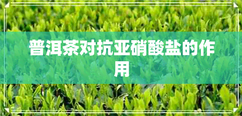 普洱茶对抗亚硝酸盐的作用 普洱茶对抗亚硝酸盐的作用