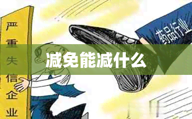 减免能减什么