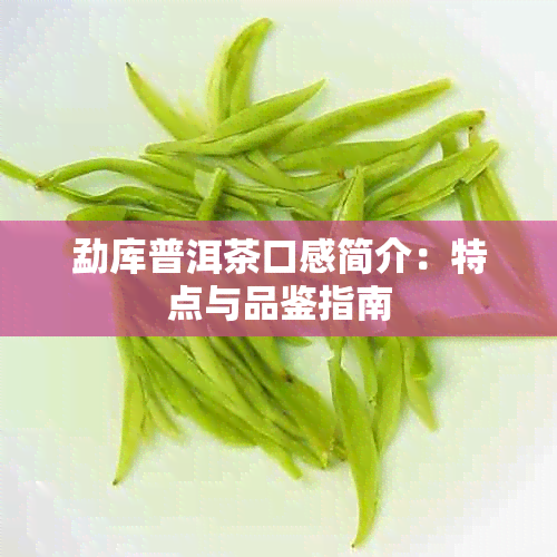 勐库普洱茶口感简介：特点与品鉴指南