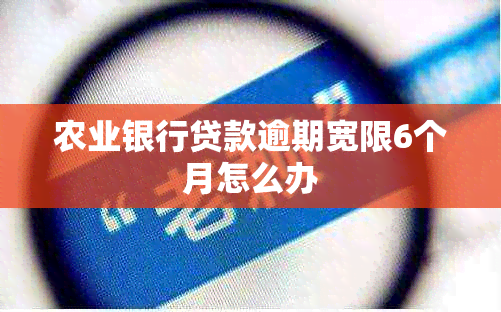 农业银行贷款逾期宽限6个月怎么办