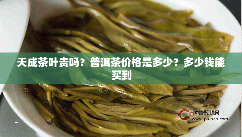 天成茶叶贵吗？普洱茶价格是多少？多少钱能买到