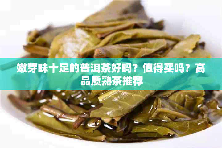 嫩芽味十足的普洱茶好吗?值得买吗?高品质熟茶推荐