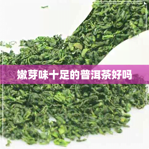 嫩芽味十足的普洱茶好吗 嫩芽味十足的普洱茶好吗