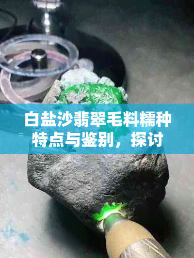 白盐沙翡翠毛料糯种特点与鉴别，探讨其皮壳与内部翡翠种类的关联