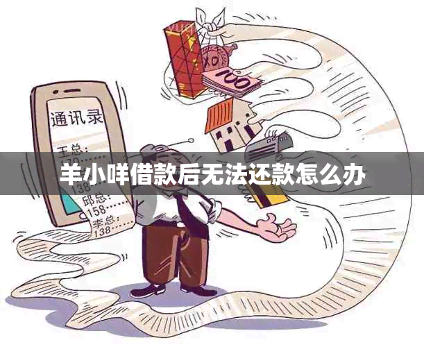 羊小咩借款后无法还款怎么办