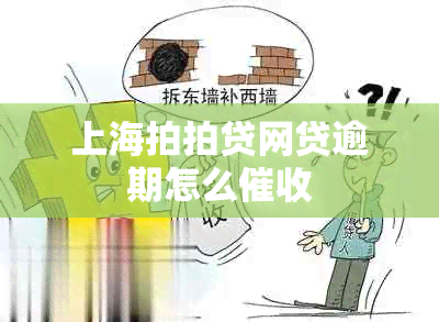 上海拍拍贷网贷逾期怎么