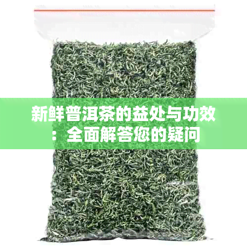 新鲜普洱茶的益处与功效:全面解答您的疑问