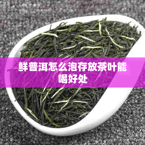 鲜普洱怎么泡存放茶叶能喝好处