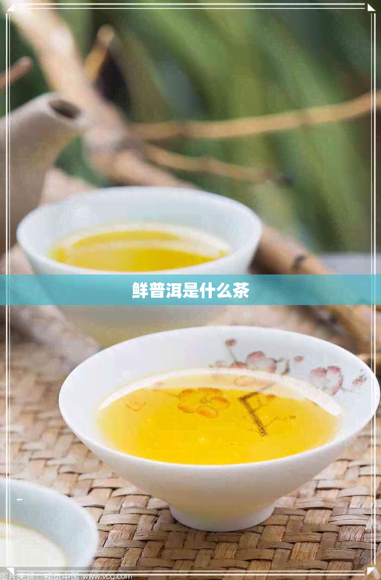 鲜普洱是什么茶 鲜普洱是什么茶