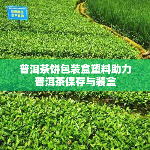 普洱茶饼包装盒塑料助力普洱茶保存与装盒