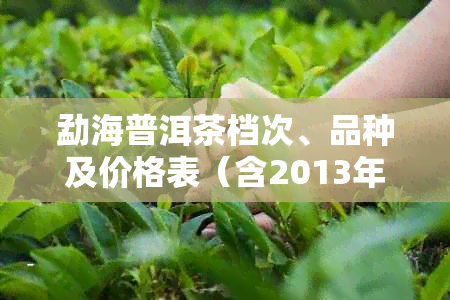 勐海普洱茶档次、品种及价格表（含2013年熟茶参考价）