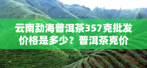 云南勐海普洱茶357克批发价格是多少？普洱茶克价多少钱