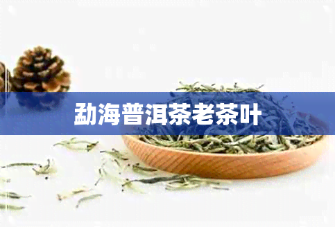 勐海普洱茶老茶叶