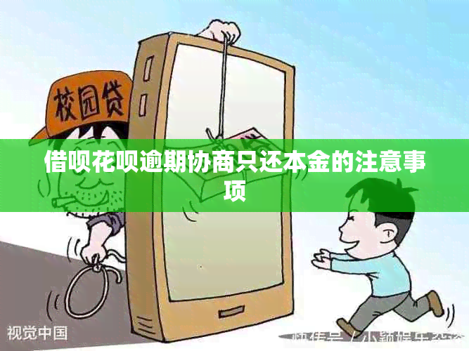 网贷信用卡逾期协商只还本金的注意事项