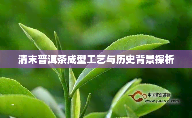 清末普洱茶成型工艺与历史背景探析