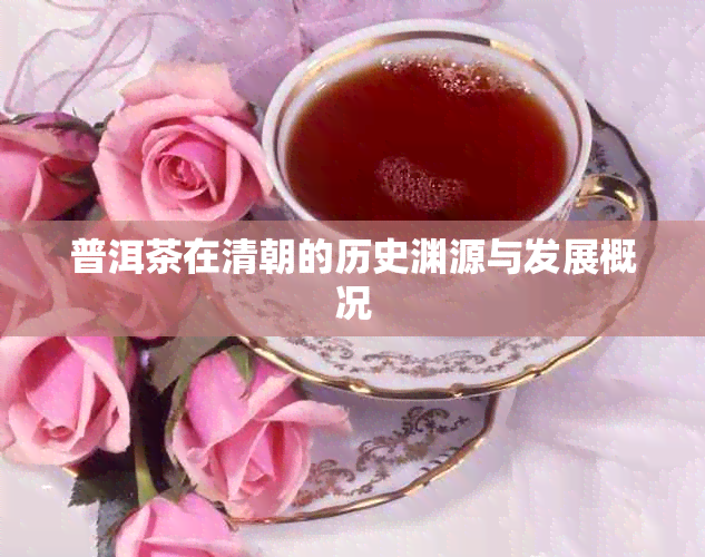普洱茶在清朝的历史渊源与发展概况