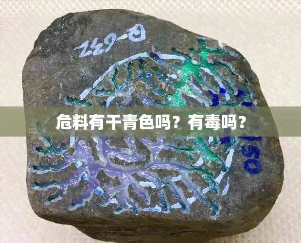 危料有干青色吗？有吗？