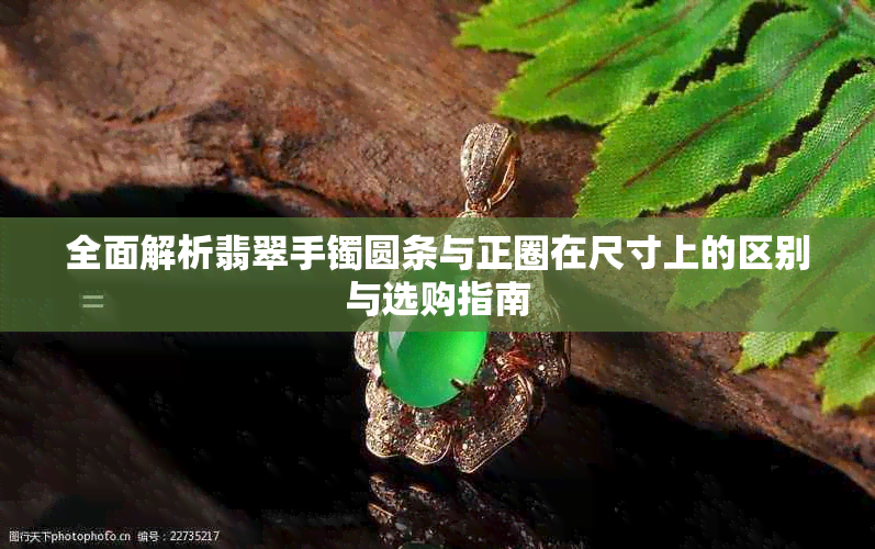 全面解析翡翠手镯圆条与正圈在尺寸上的区别与选购指南