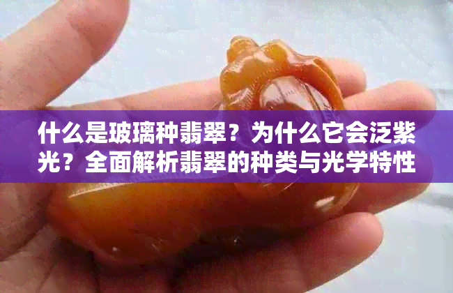 什么是玻璃种翡翠?为什么它会泛紫光?全面解析翡翠的种类与光学特性