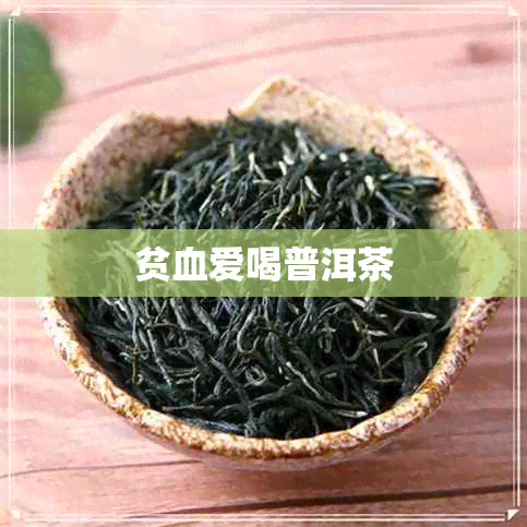 贫血爱喝普洱茶