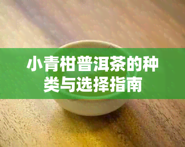 小青柑普洱茶的种类与选择指南
