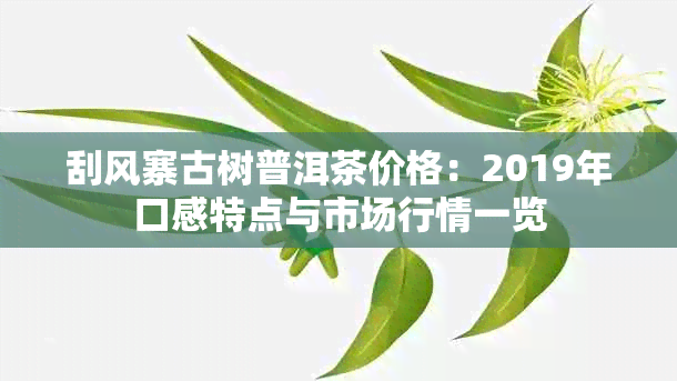 刮风寨古树普洱茶价格：2019年口感特点与市场行情一览