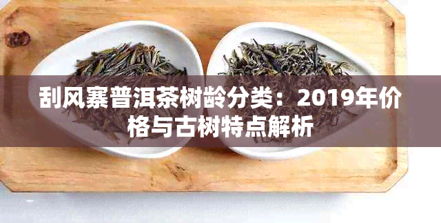 刮风寨普洱茶树龄分类：2019年价格与古树特点解析